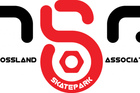 Can We Make Our Dream Skatepark a Reality in 2016?