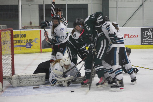 The Kootenay Wild snap winless skid by stopping Vancouver Island Seals