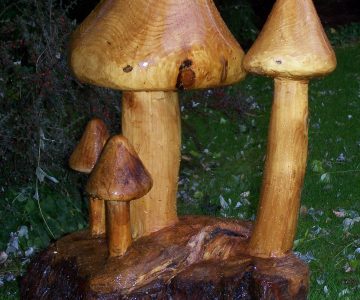 The Many Marvels of the Mysterious Mushroom