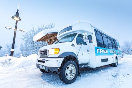 Quo Vadis?  The Free Shuttle Bus and a Transit Survey