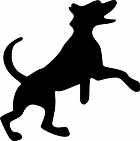 ROSSLAND:  DOG INJURES MAN DOWNTOWN