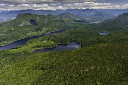 Great Bear Rainforest Agreement Signed