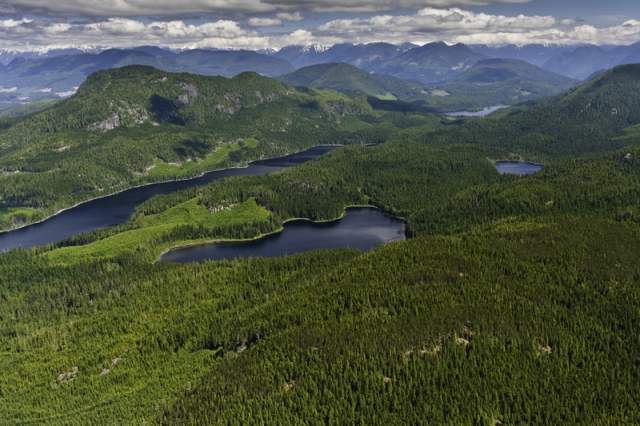 Great Bear Rainforest Agreement Signed