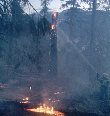 Riondel firefighters extinguish wildfire near Gray Creek