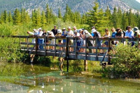 Forum This Fall to Explore New Approaches to Freshwater Decision-Making in BC