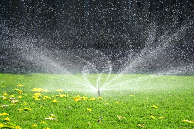 City Posts Watering Schedule for Rossland