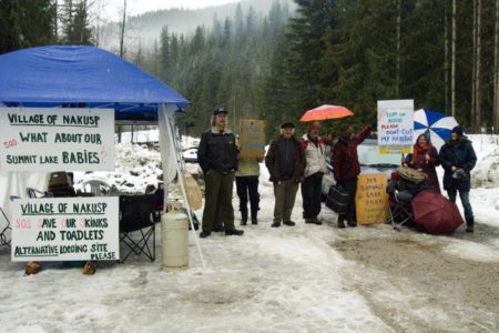 Public outcry wins reprieve for threatened toads near Summit Lake