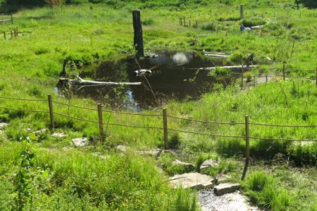 Vandalism Mars Progress in North Jubilee Wetland