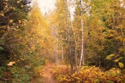 Drake's Trail in Autumn