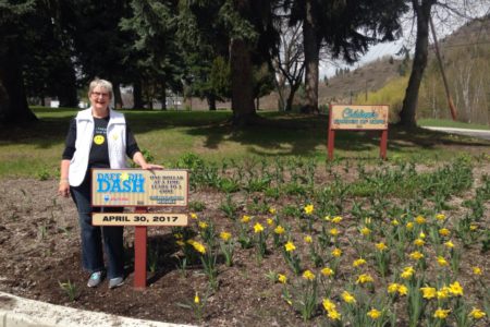 Daffodil Dash to use flower power to fight childhood cancer