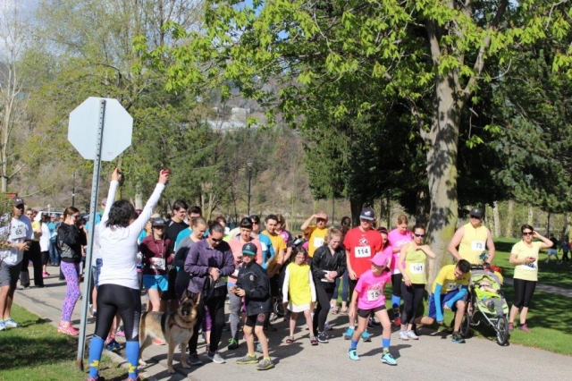 Cancer Society's Daffodil Dash exceeds goals