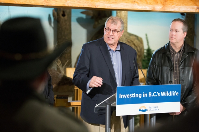 Hunter-Funded Wildlife Agency Quietly Announced Before BC Election