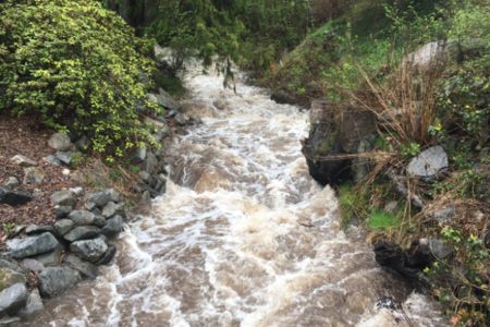 UPDATED: Environment Canada ends Severe Thunderstorm Watch