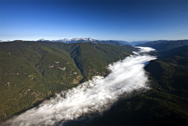 Perry Ridge protectors win respite from loggers