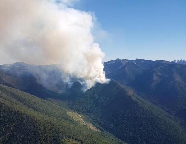 City sits on a ticking time bomb of West Arm Provincial Park forest