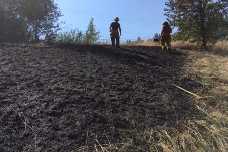 Cigarette butt causes fire near homes ; prompts Fire Chief to warn of hefty fines for careless fire behaviour