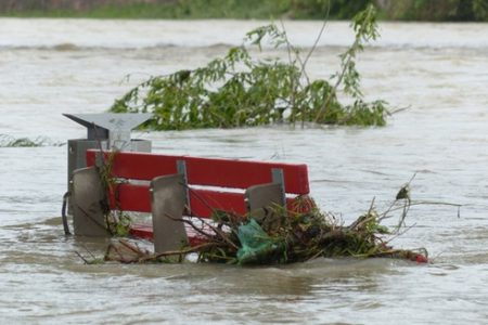 Column:  Floods and Sponges