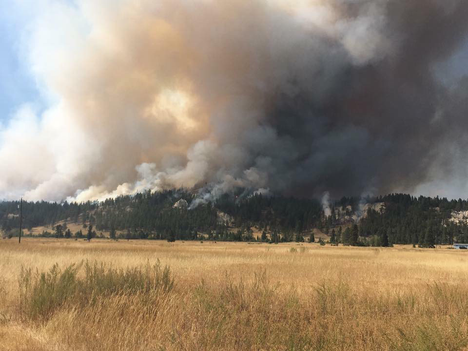 CBT donates over $800,000 to mitigate wildfire risk