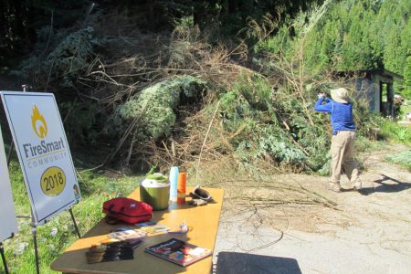 Making Rossland Less Flammable