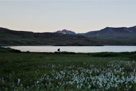 Canada has some of the world's last wild places.  Are we keeping our promise to protect them?