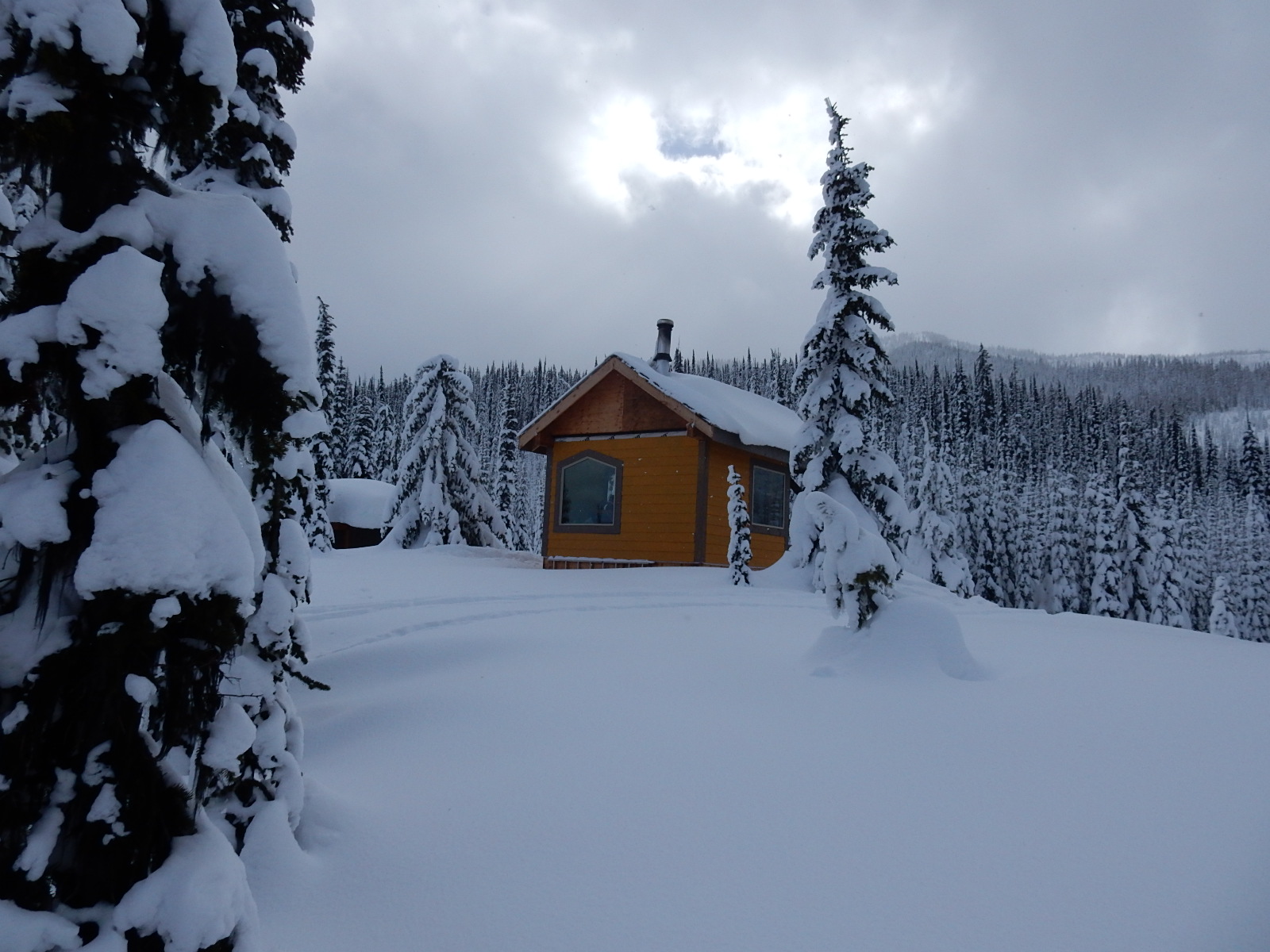 How to get introduced to the Rossland Range Rec Site, with a Snow Host