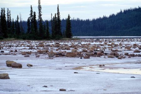 Hope for the New Year from the Nature Conservancy of Canada