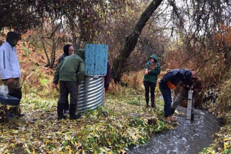 What have the Rossland Streamkeepers been up to?