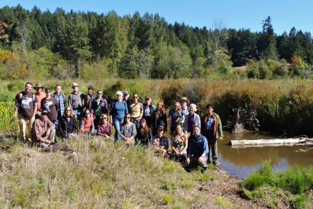 A FREE Workshop:  Wetlands and what to do about them