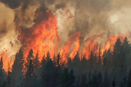 Weather makes for gentle start to fire season in our region