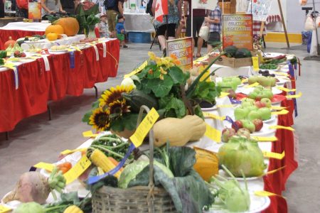 Rossland's Fall  Fair -- start preparing your entries!