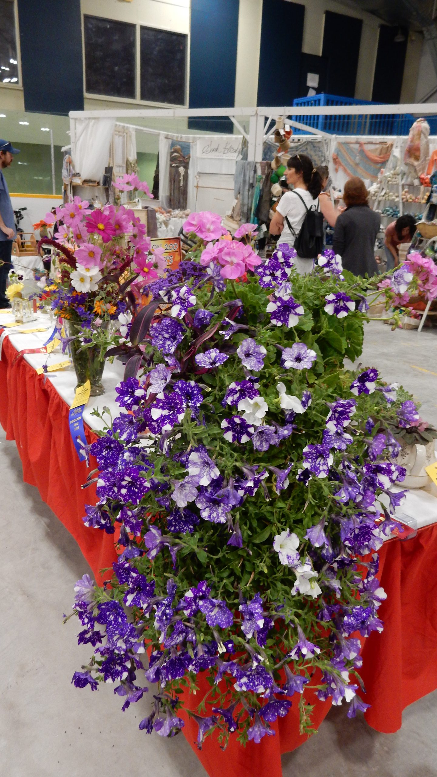 Flowers at Rossland Fall  Fair, 2019