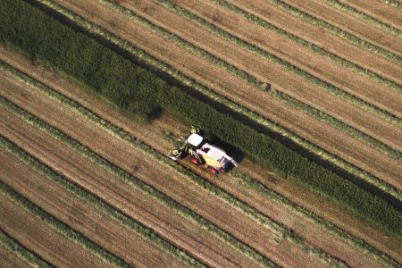 Column: Our biodiversity crisis -- connecting the dots