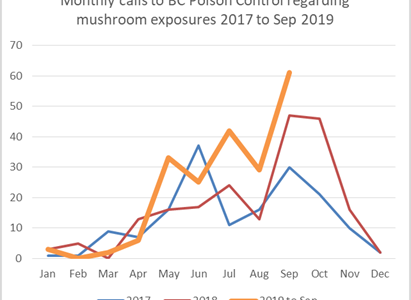 Mushroom poisoning on the rise in B.C.