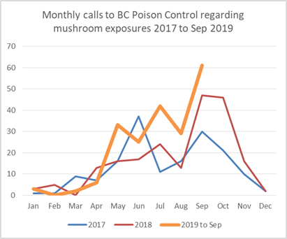 Mushroom poisoning on the rise in B.C.