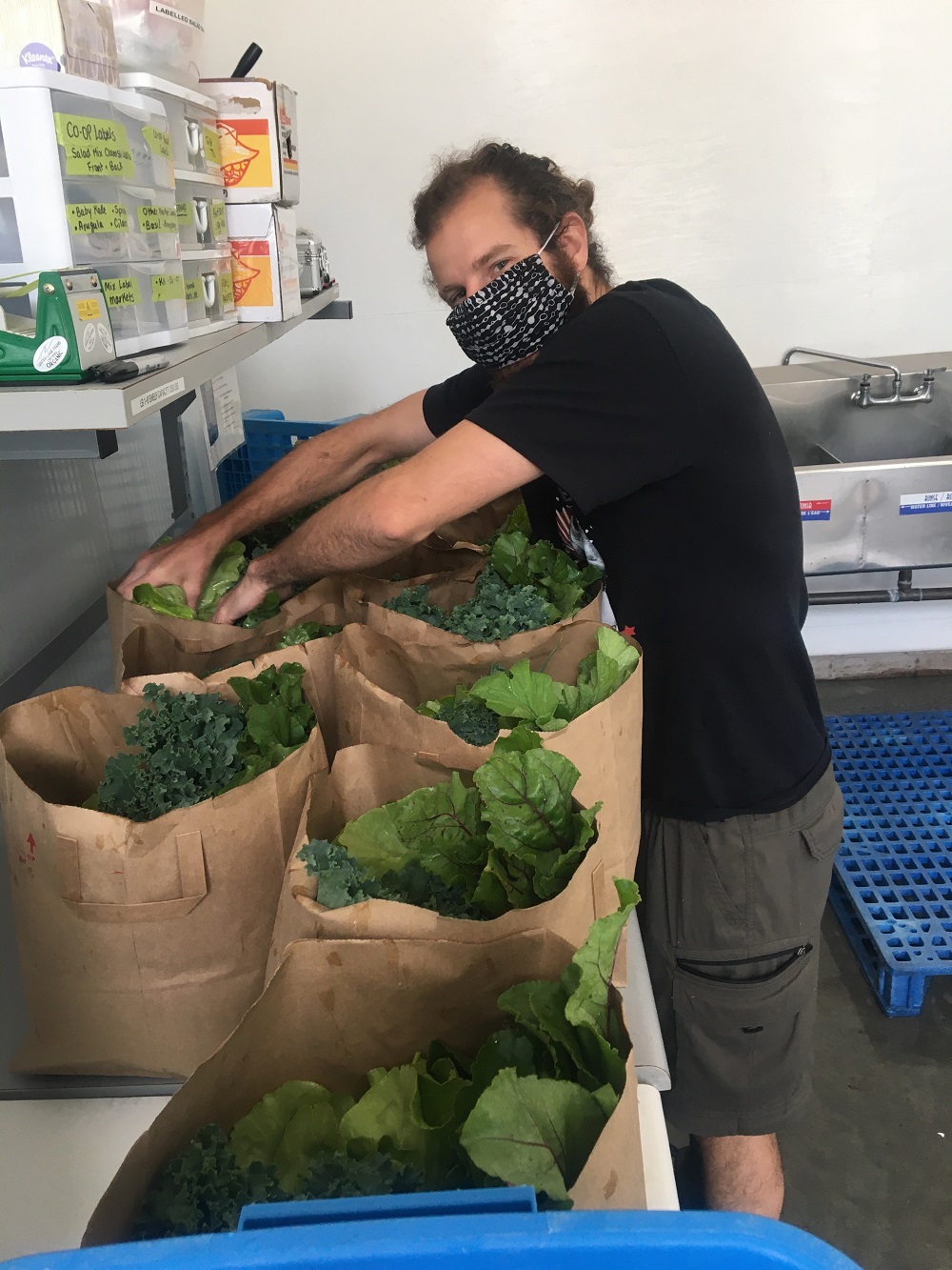 Fresh local food for families goal of new EcoSociety program