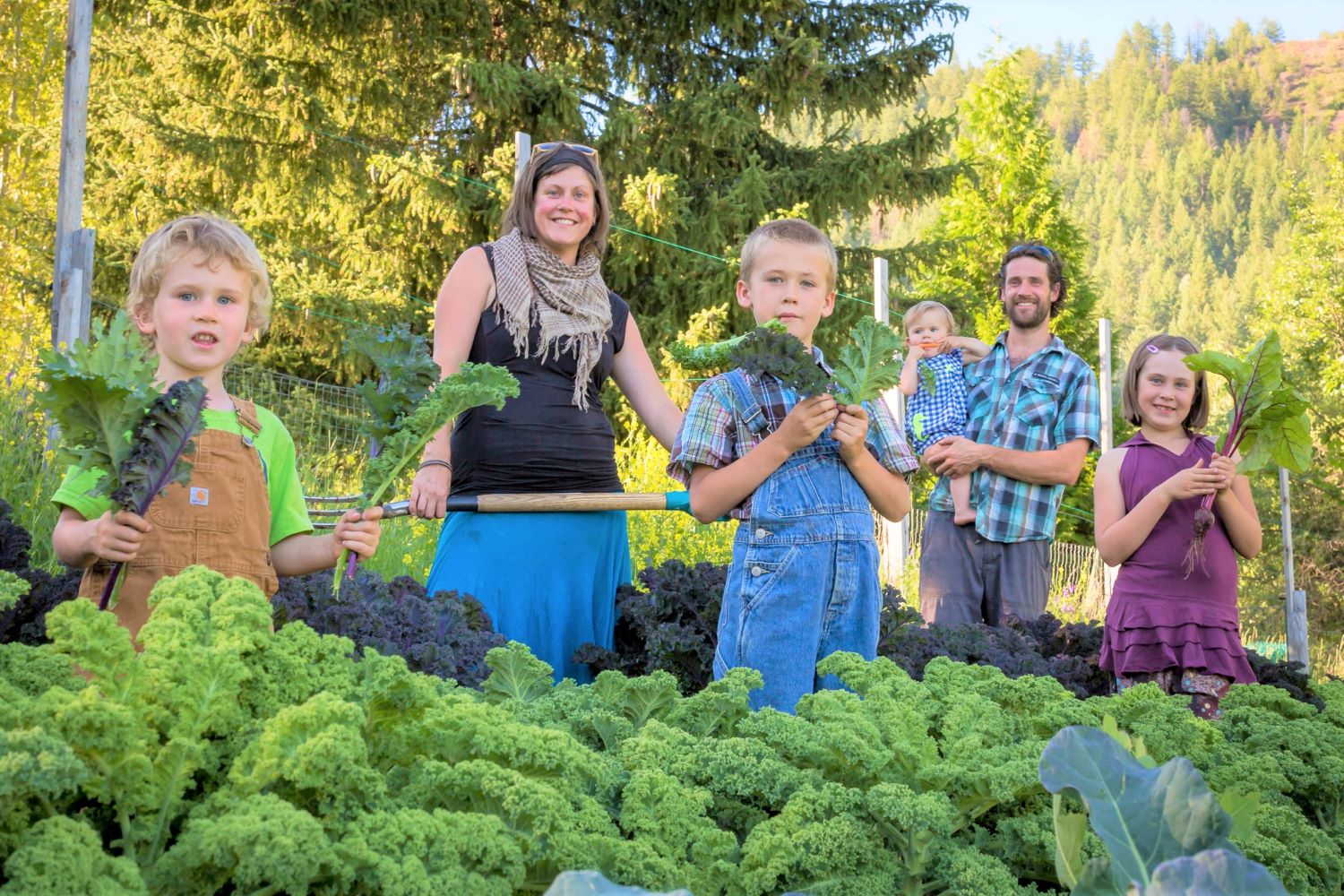Happy Hills Farm in Rossland receives boost from FedEx grant