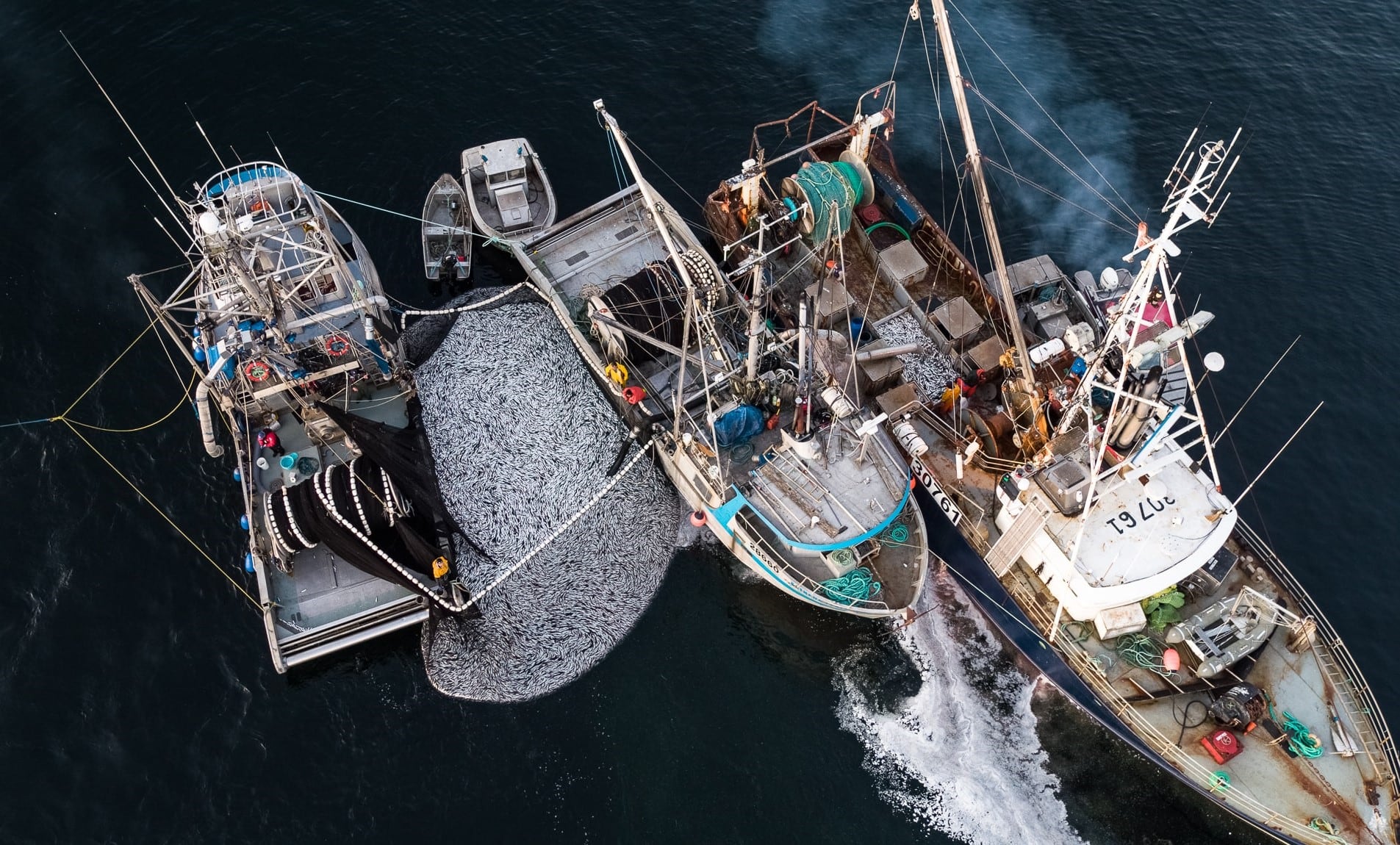 Closing Canadian fisheries would help rebuild stocks and lead to economic gains:  study
