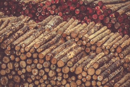 Column:  Forestry and the 'circular economy'