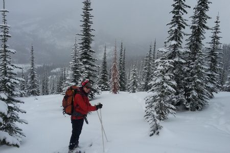 Rec Site cabins and COVID-19