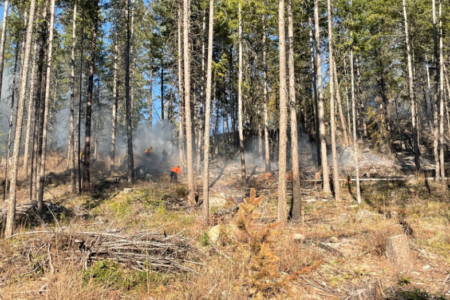 Christina Lake Fire/Rescue responds to Haagland road wildfire