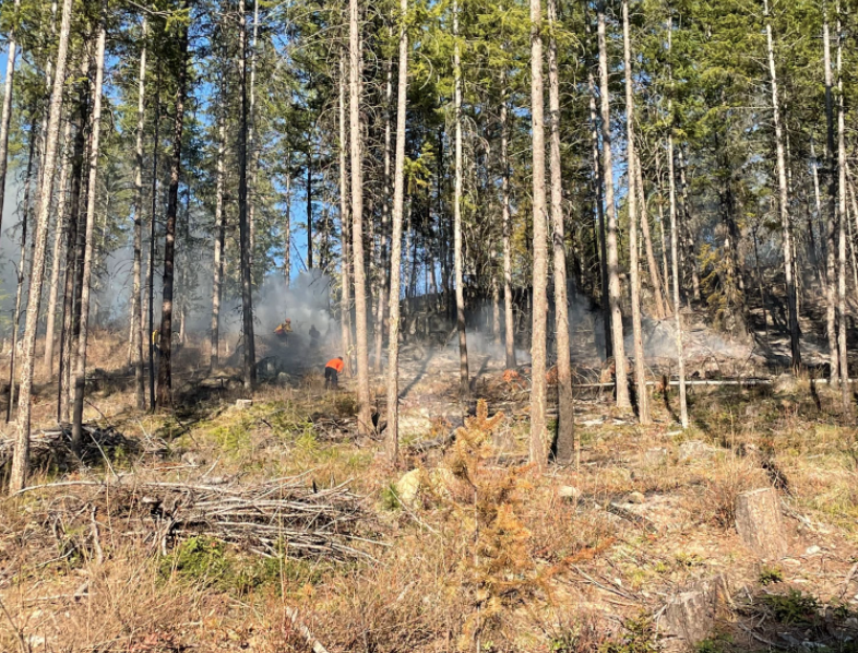 Christina Lake Fire/Rescue responds to Haagland road wildfire
