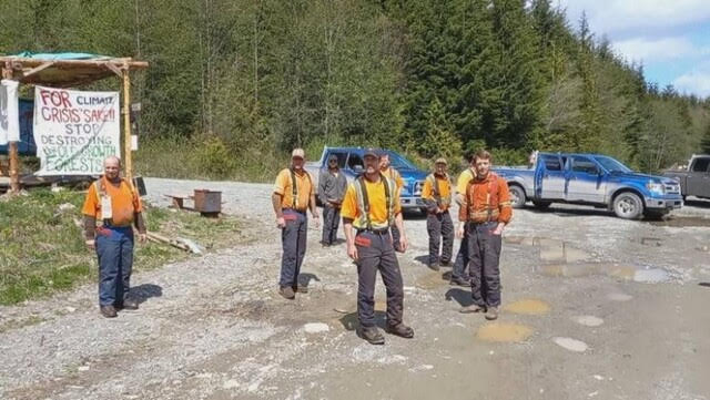 Loggers, protesters spar: Logging companies condemn contractors' altercation with protesters