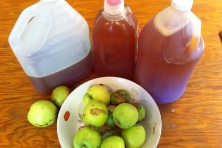 2021 Annual Rossland Community Fruit Pressing