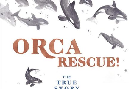 New children’s book titled ORCA RESCUE! Illustrated by former Rossland artist