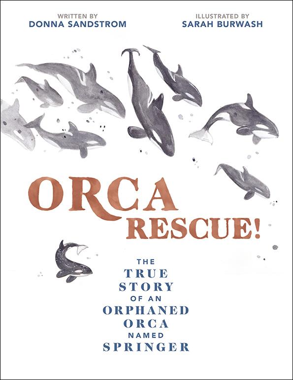 New children’s book titled ORCA RESCUE! Illustrated by former Rossland artist