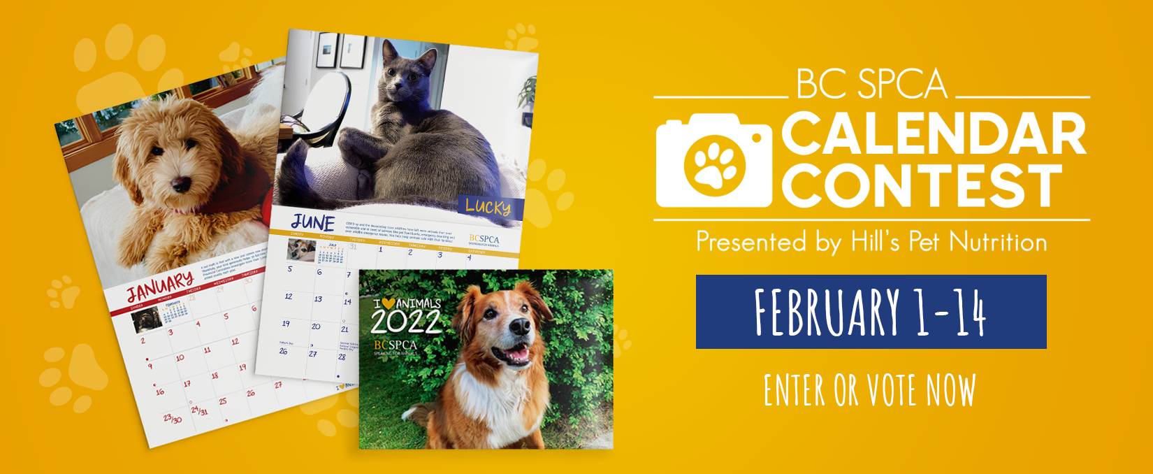 Enter your pet in the BC SPCA’s Calendar Contest, Feb 1–14