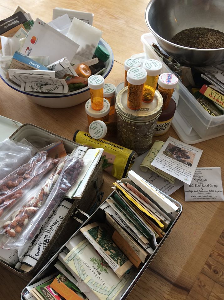 Seed Swap at the Rossland Library