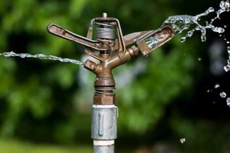 RDKB appoints WaterSmart Ambassador to help locals save