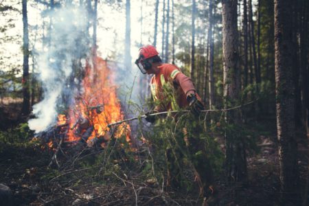 Trust/Province partnership helps communities reduce wildfire risk