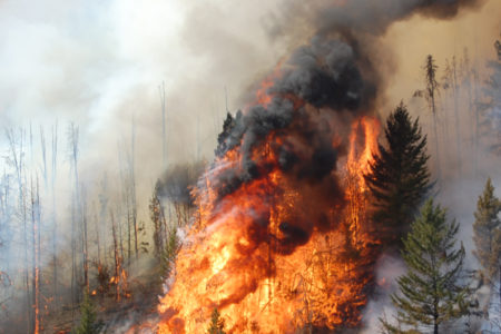 Wildfire activity in B.C. will continue through August